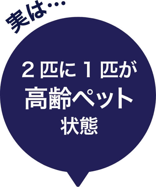 実は…2匹に1匹が高齢ペット状態